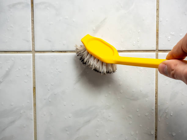 Mold Removal Process in Pennington, NJ