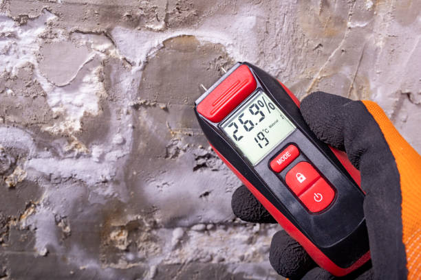 Best Home Mold Removal  in Pennington, NJ