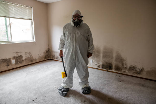 Best Mold Testing  in Pennington, NJ